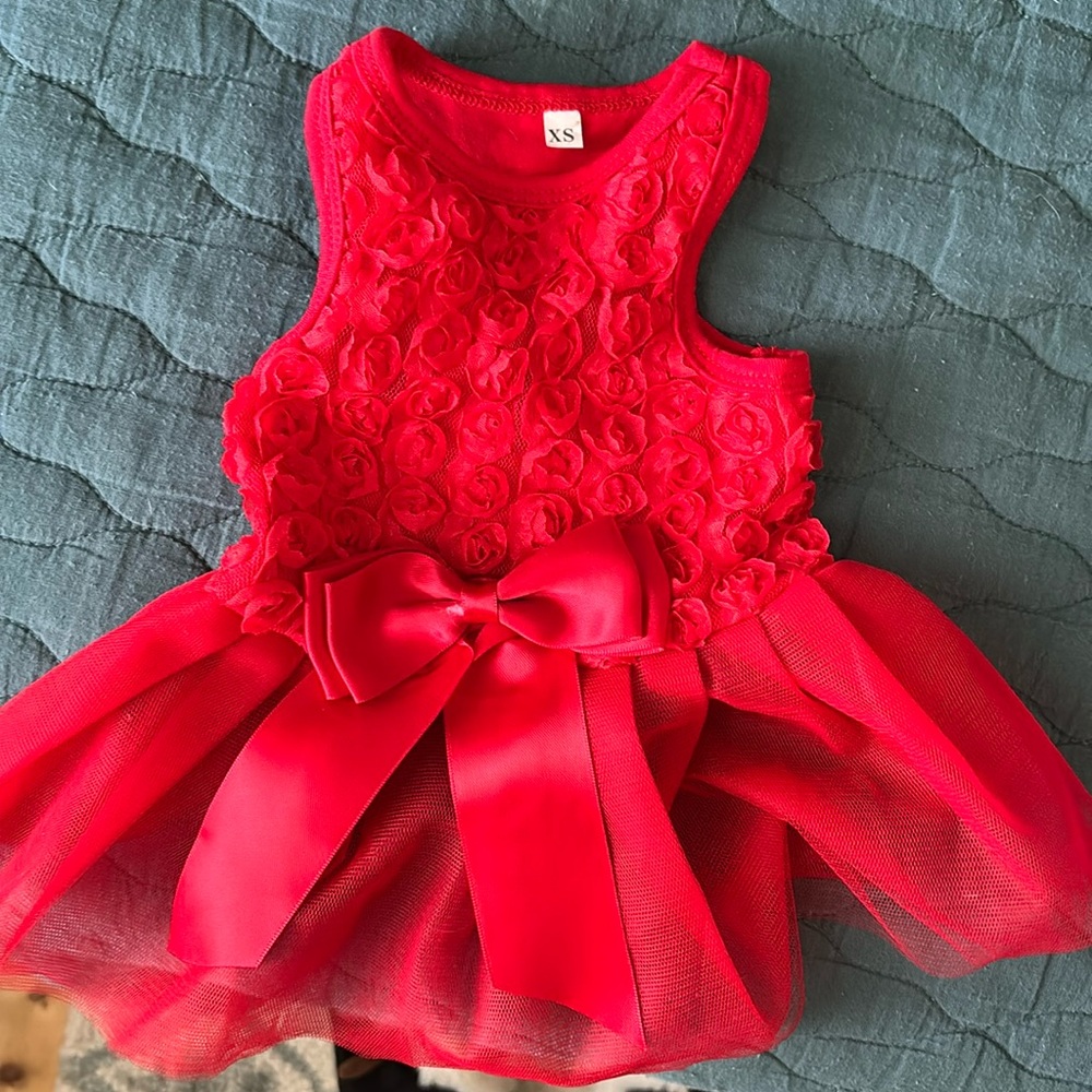 Doggy dress